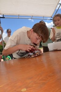 Join the pie baking and pie eating competition at Revelstoke Timber Day. Photo: Aaron Orlando/Revelstoke Mountaineer file photo