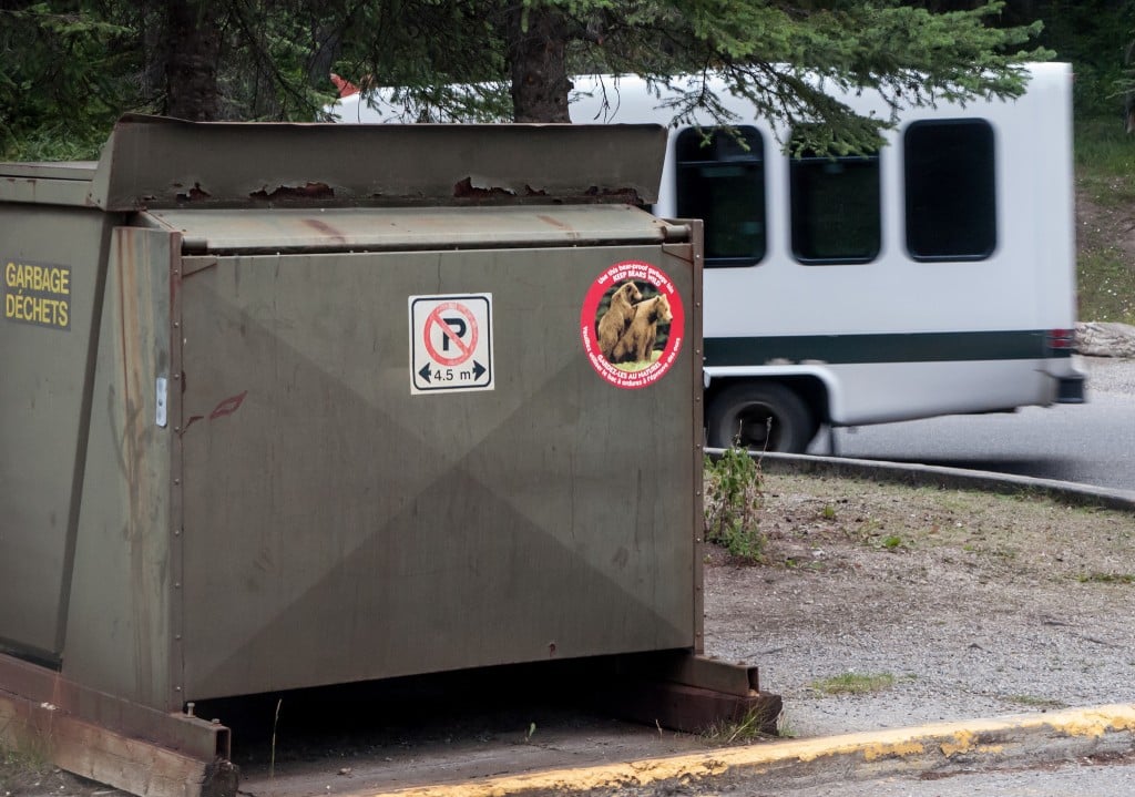 A bear-proof bin. Photo: Steve (CC 2.0)