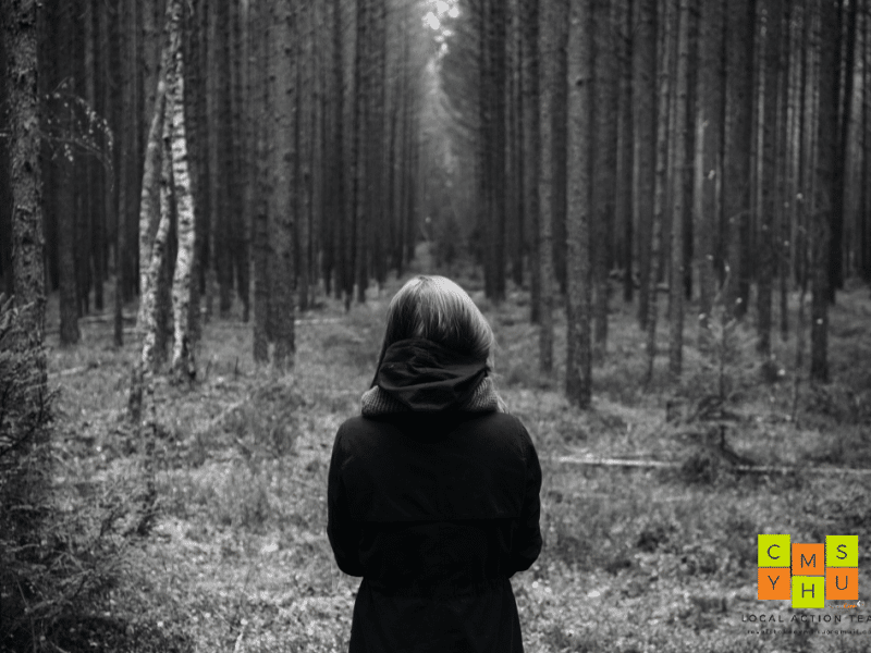 lost in forest